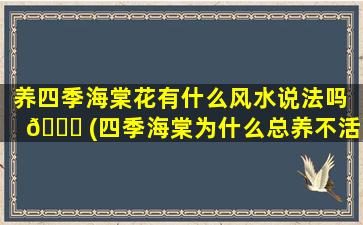 养四季海棠花有什么风水说法吗 🐟 (四季海棠为什么总养不活)
